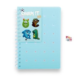 EXP.16 LIBRETAS CON ANILLAS Y HOLE PINS 4 COLORES EXP.16 LIBRETAS CON ANILLAS Y HOLE PINS 4 COLORES