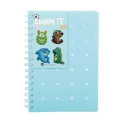 EXP.16 LIBRETAS CON ANILLAS Y HOLE PINS 4 COLORES EXP.16 LIBRETAS CON ANILLAS Y HOLE PINS 4 COLORES