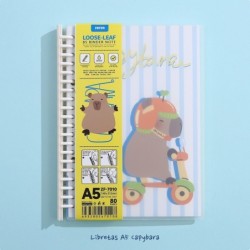 PACK 4 LIBRETAS A5 CAPYBARA TRICYCLE PACK 4 LIBRETAS A5 CAPYBARA TRICYCLE