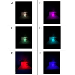 LAMPARA SILICONA BEAR CAMBIO COLOR RGB LAMPARA SILICONA BEAR CAMBIO COLOR RGB