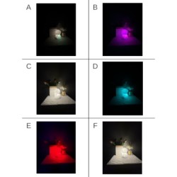 LAMPARA SILICONA ASTRONAUTA CAMBIO COLOR RGB LAMPARA SILICONA ASTRONAUTA CAMBIO COLOR RGB