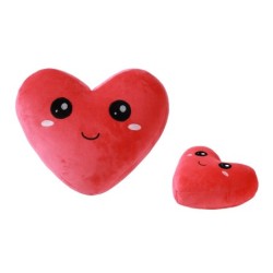 Cojín FOLLOW YOUR HEART