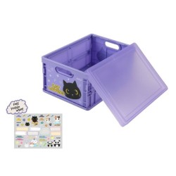 Caja plegable BLACK CAT