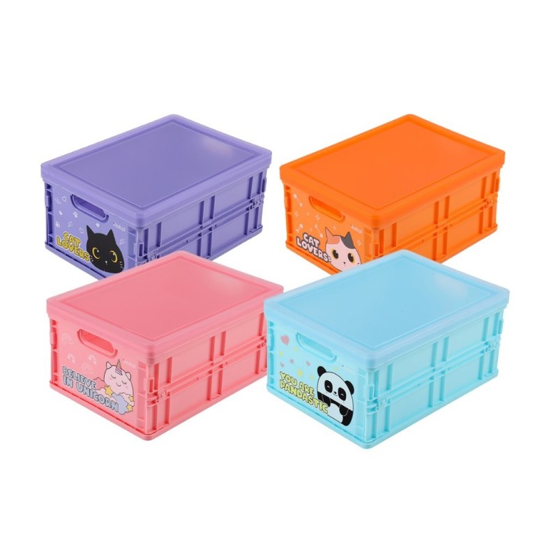 Cajas plegables surtidas Cajas plegables surtidas