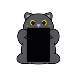 Pizarra mágica BLACK CAT