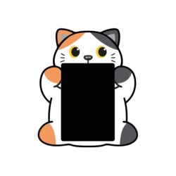 Pizarra mágica ORANGE CAT