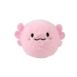 Pelotita saltarina AXOLUTELY