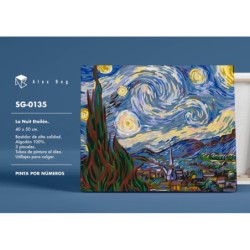 PINTAR POR NUMEROS STARRY SKY 41,5 x 51,5 x 3 cm