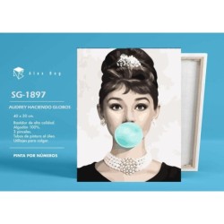 PINTAR POR NUMEROS AUDREY HACIENDO GLOBOS 41,5 x 51,5 x 3 cm