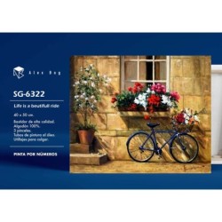 PINTAR POR NUMEROS LIFE IS A BEAUTIFUL RIDE 41,5 x 51,5 x 3 cm