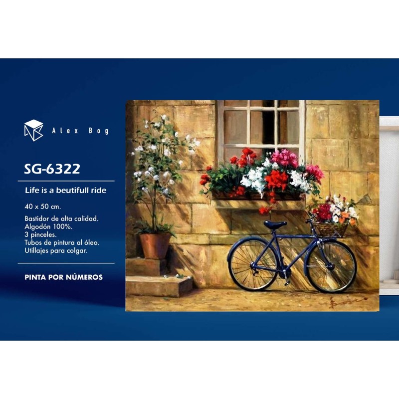 PINTAR POR NUMEROS LIFE IS A BEAUTIFUL RIDE 41,5 x 51,5 x 3 cm PINTAR POR NUMEROS LIFE IS A BEAUTIFUL RIDE 41,5 x 51,5 x 3 cm