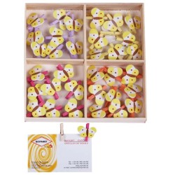 SET 72 PINZAS DE 4 COLORES C/MARIPOSA Blister: 13,5 x 13,5 x 2,5 cm