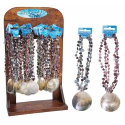 EXP.24 COLLARES SHELL TRIPLE RAMA 40 x 24 x 8 cm