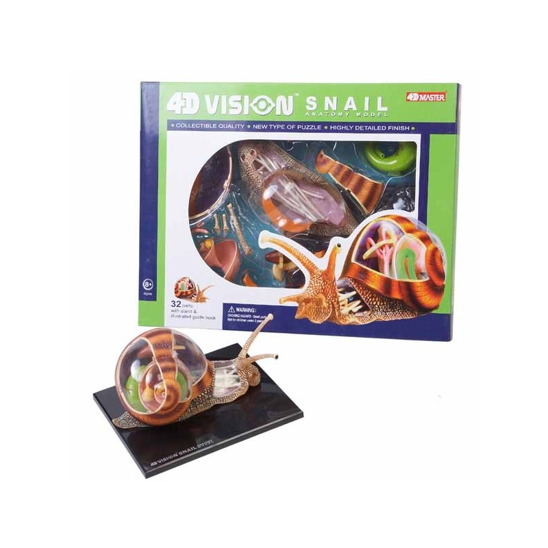 PUZZLE DIDACTICO 4D GDE, CARACOL ANATOMY 10 x 19 x 16 cm PUZZLE DIDACTICO 4D GDE, CARACOL ANATOMY 10 x 19 x 16 cm