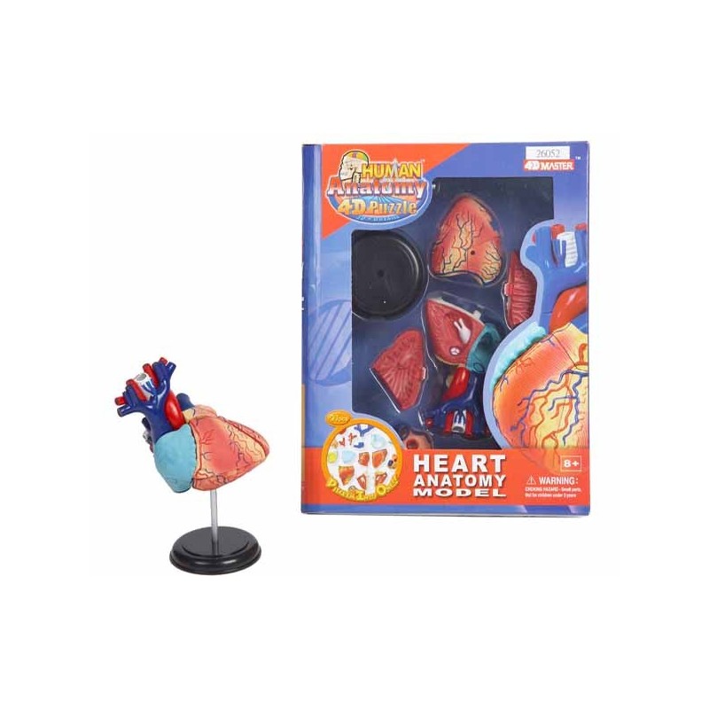 PUZZLE DIDACTICO 4D , CORAZON HUMANO 13 x 9 x 6 cm PUZZLE DIDACTICO 4D , CORAZON HUMANO 13 x 9 x 6 cm