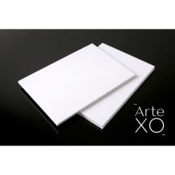 PALETAS PLASTICO YM-D3 d.19 cm