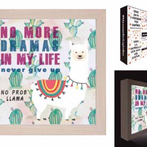 RELOJ.SURTIDOS (5 MOD.) C/ESTUCHE PLASTICO OVAL