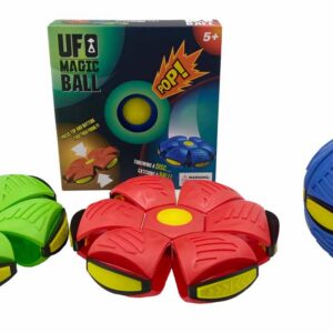 EXP.24 JUEGOS DE MEMORIA 2 EN 1