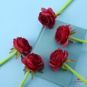 EXP.16 BOLIS GEL ROSAS LIGHT COLORS