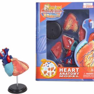 PUZZLE DIDACTICO 4D , CORAZON HUMANO