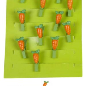 SET 12 PINZAS ZANAHORIA