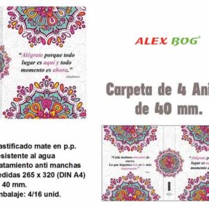 CARPEBLOC 100 HOJAS,5 SEPARADORES,TODO SE ALCANZA