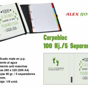 CARPEBLOC 100 HOJAS,5 SEPARADORES,TODO SE ALCANZA
