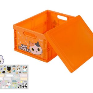 Caja plegable ORANGE CAT