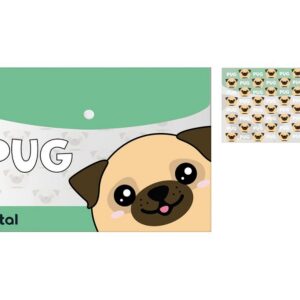 Carpeta de Documentos PUG