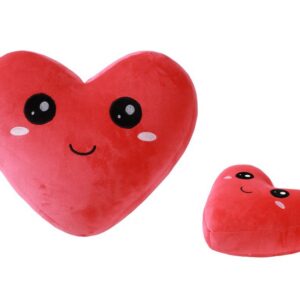 Cojín FOLLOW YOUR HEART