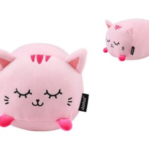 Cojín pequeño PINK CAT