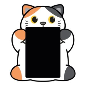 Pizarra mágica ORANGE CAT